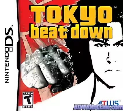 Image n° 1 - box : Tokyo Beat Down